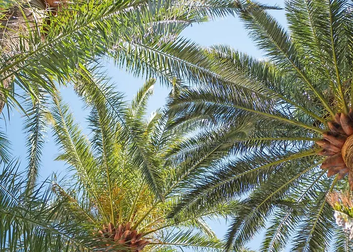 Les Tourelles Сент-Максім